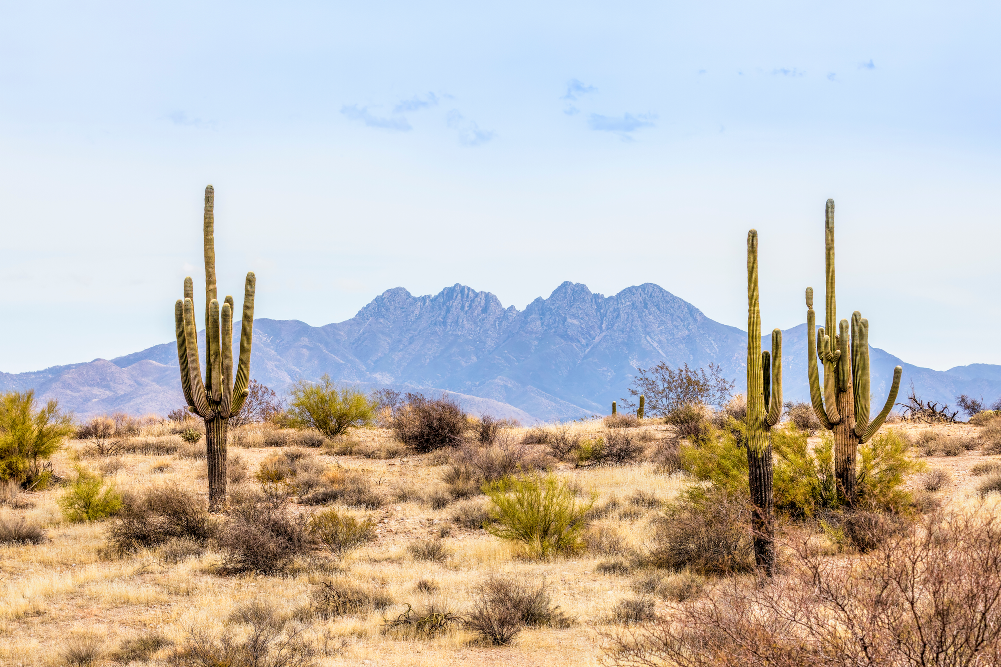 Arizona Airbnb: How to Carve a Niche for Your Vacation Rental