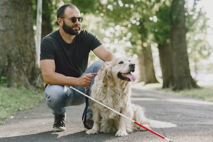 Man with service animal or emotional support animal