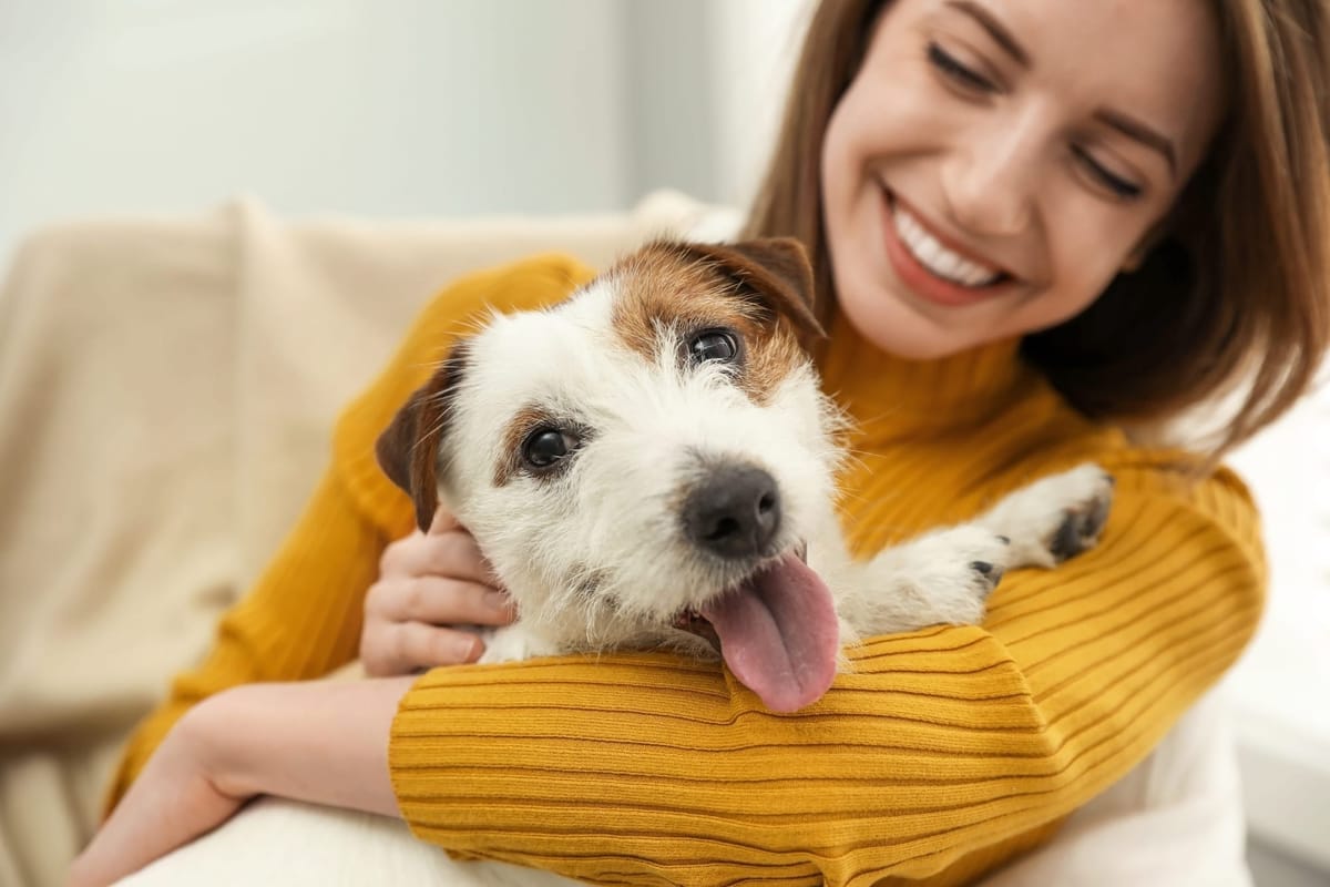 Anuncios de Booking con mascotas: Cómo atraer a las mascotas (y a sus dueños)