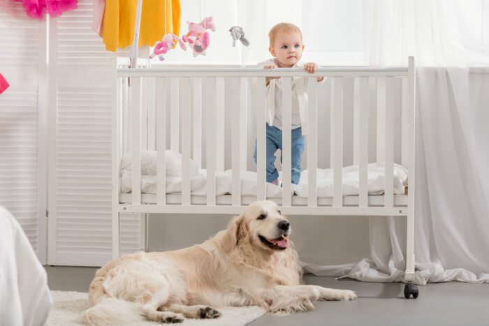 child and pet amenities checklist