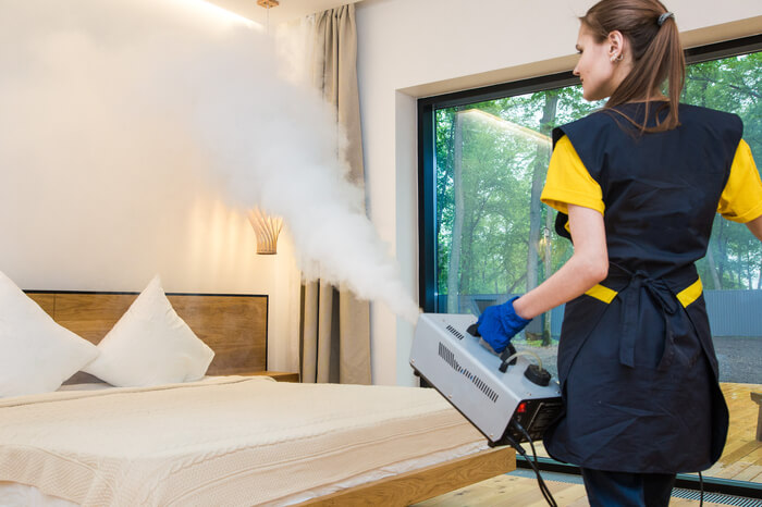 hire an exterminator for Airbnb bed bugs