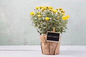 A welcome note and personal greeting for an Airbnb guest